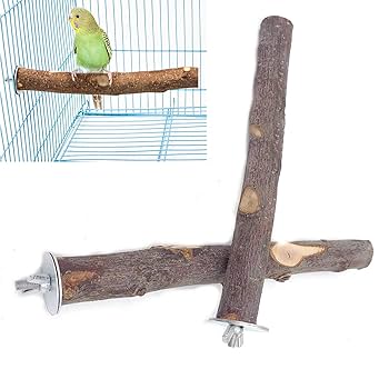 鳥用品　止まり木　カクタス　スケルトン　パーチ　特大No.216 優れもの！カクタスパーチ（サボテンの骨のとまり木）販売して